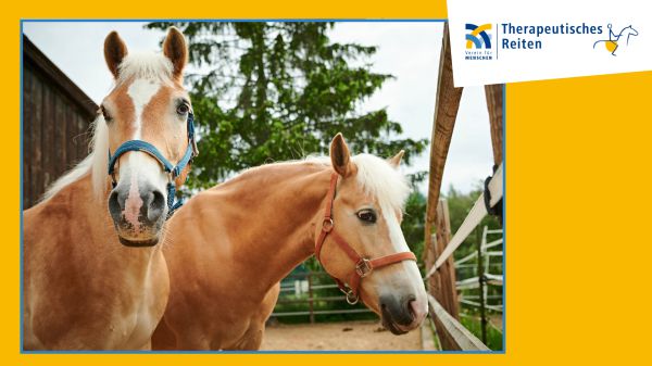 Das Therapeutische Reiten startet in neues Kapitel