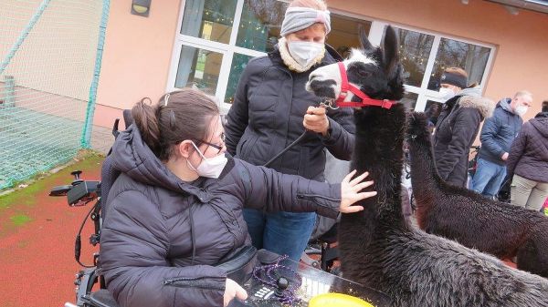 Tierischer Besuch in Boxdorf!